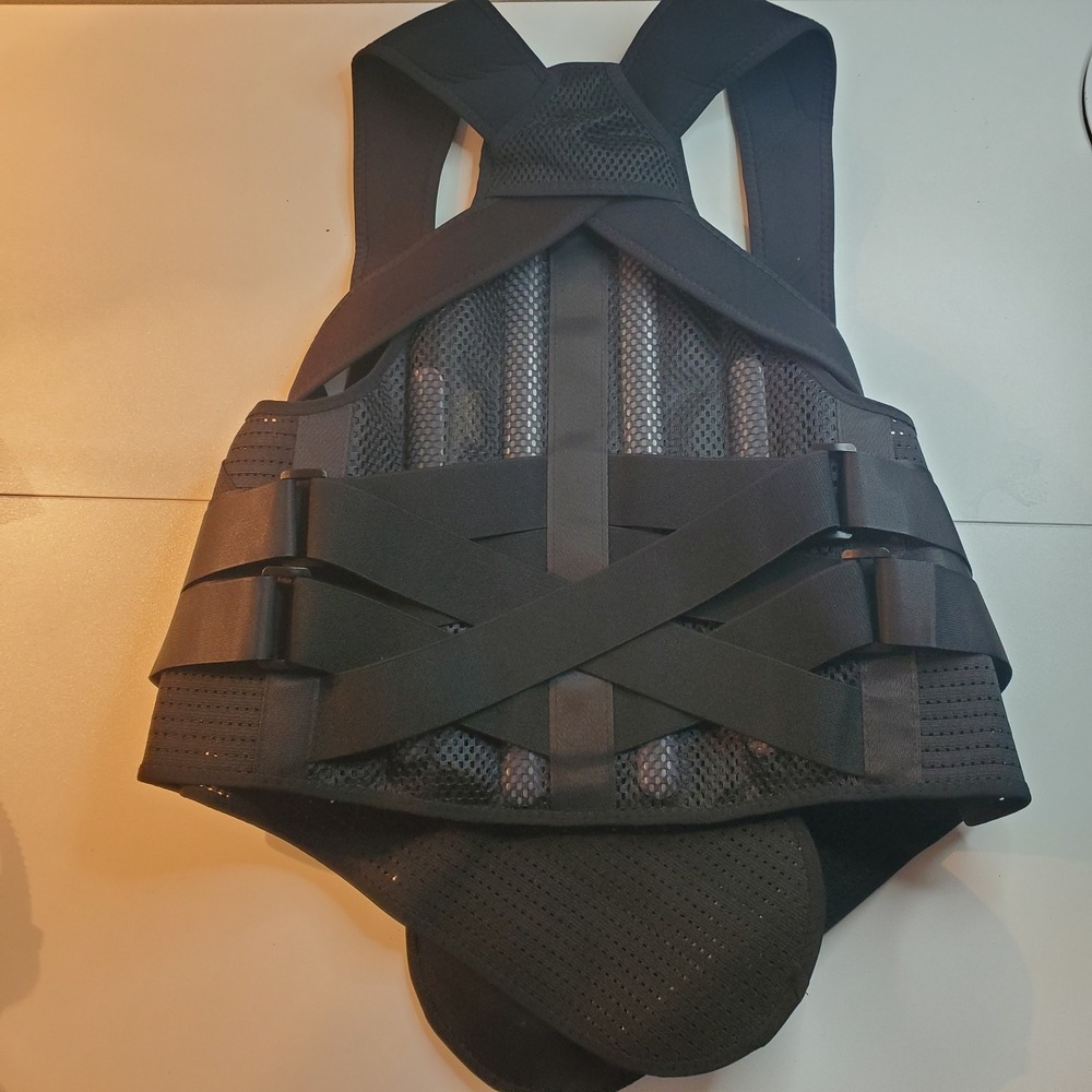 BigRose Unisex Back Brace Posture Corrector Spinal Support Lumbar Large Black